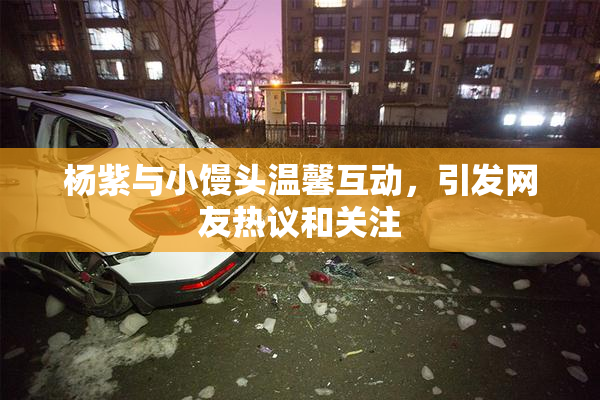 杨紫与小馒头温馨互动，引发网友热议和关注