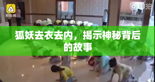 狐妖去衣去内，揭示神秘背后的故事