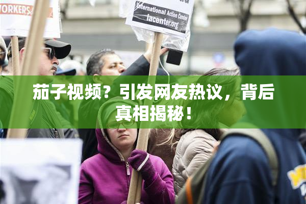 茄子视频？引发网友热议，背后真相揭秘！