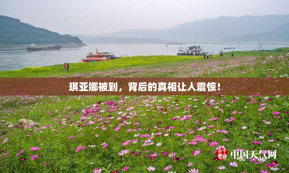 琪亚娜被到，背后的真相让人震惊！