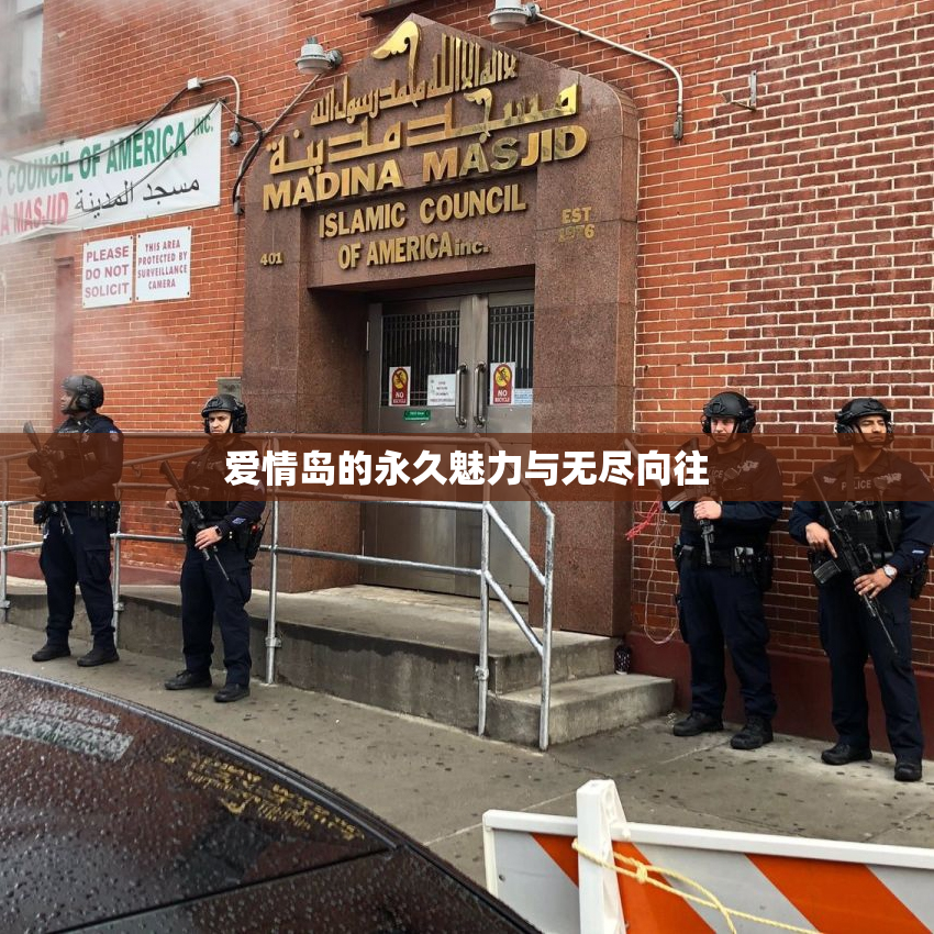 爱情岛的永久魅力与无尽向往