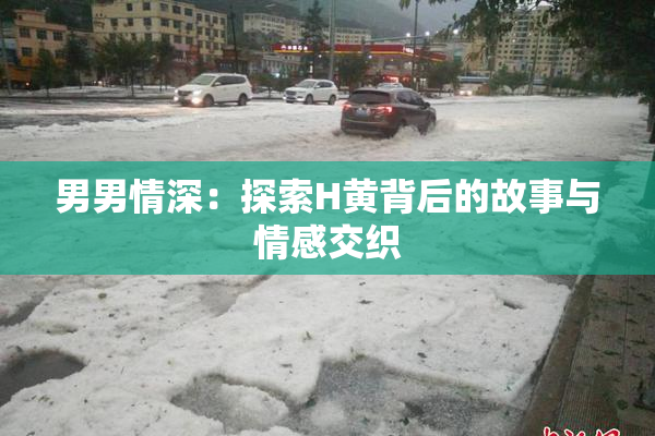 男男情深：探索H黄背后的故事与情感交织