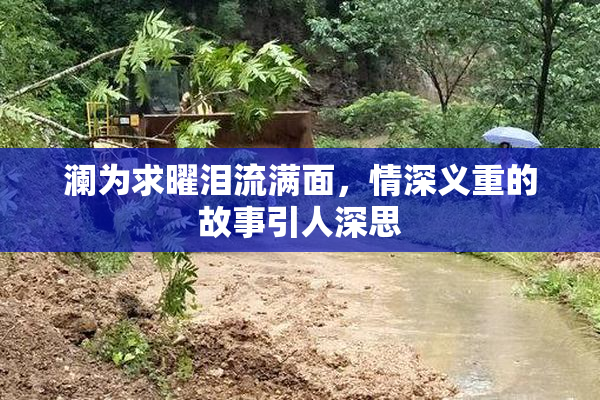 澜为求曜泪流满面，情深义重的故事引人深思