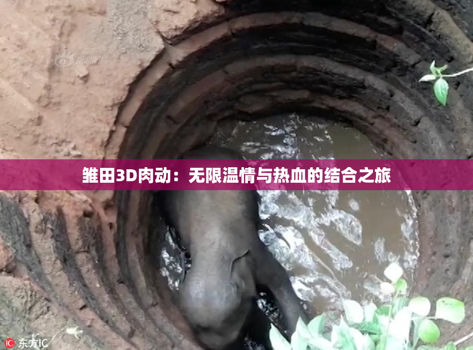 雏田3D肉动：无限温情与热血的结合之旅