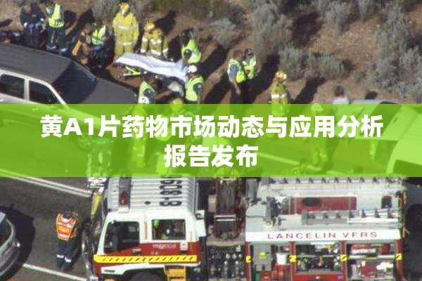 黄A1片药物市场动态与应用分析报告发布