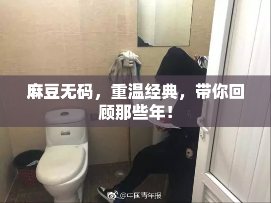 麻豆无码，重温经典，带你回顾那些年！