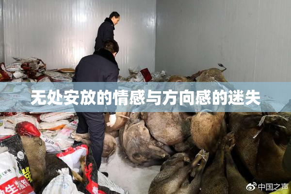 无处安放的情感与方向感的迷失