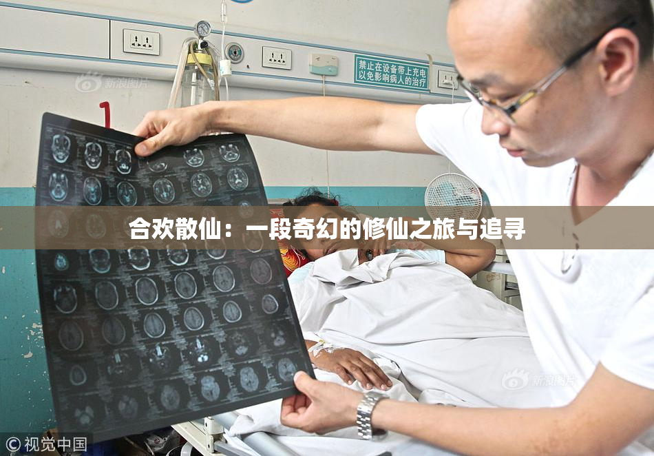 合欢散仙：一段奇幻的修仙之旅与追寻