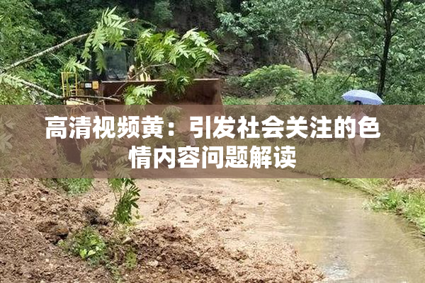 高清视频黄：引发社会关注的色情内容问题解读