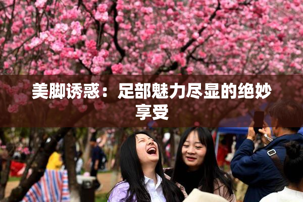 美脚诱惑：足部魅力尽显的绝妙享受