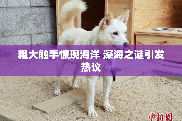 粗大触手惊现海洋 深海之谜引发热议