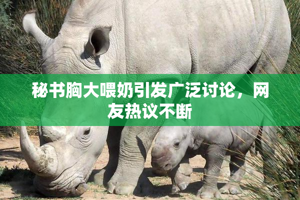 秘书胸大喂奶引发广泛讨论，网友热议不断