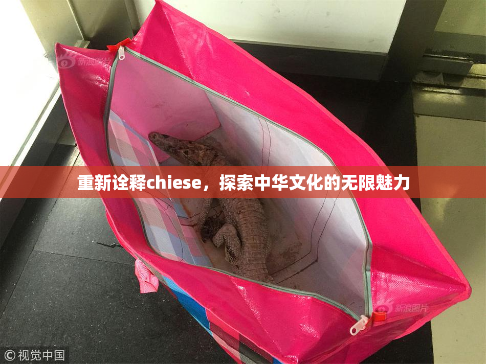 重新诠释chiese，探索中华文化的无限魅力