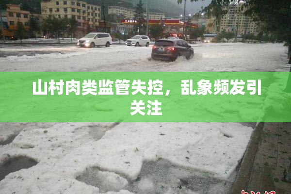 山村肉类监管失控，乱象频发引关注