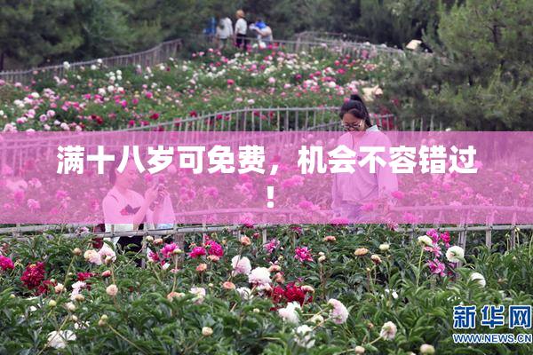 满十八岁可免费，机会不容错过！