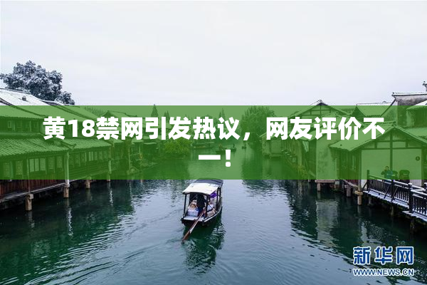 黄18禁网引发热议，网友评价不一！