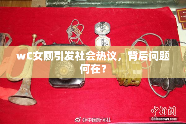 wC女厕引发社会热议，背后问题何在？