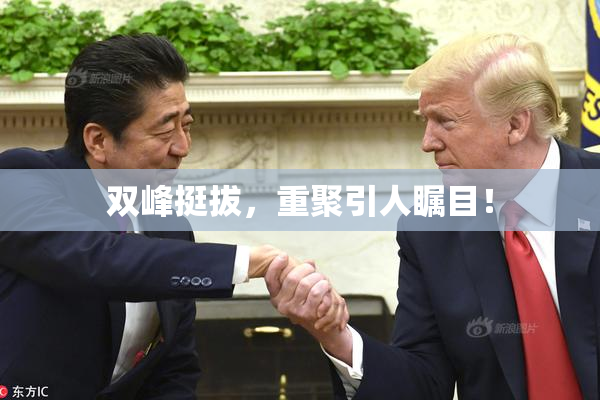 双峰挺拔，重聚引人瞩目！