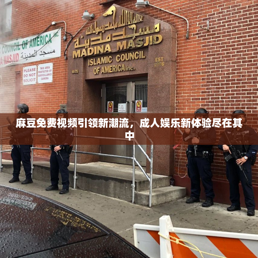 麻豆免费视频引领新潮流，成人娱乐新体验尽在其中
