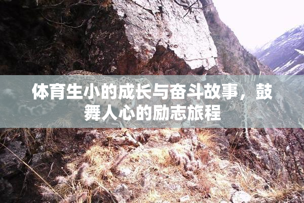 体育生小的成长与奋斗故事，鼓舞人心的励志旅程
