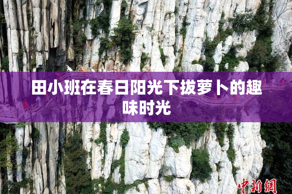 田小班在春日阳光下拔萝卜的趣味时光