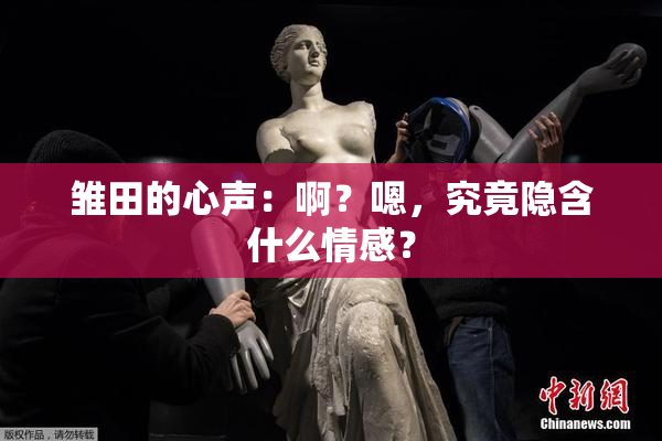 雏田的心声：啊？嗯，究竟隐含什么情感？