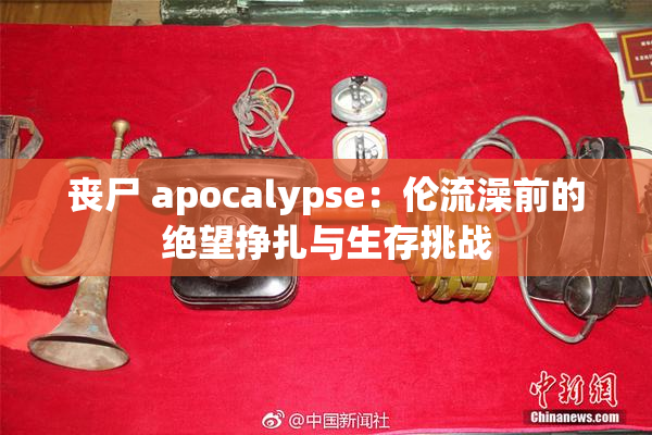 丧尸 apocalypse：伦流澡前的绝望挣扎与生存挑战