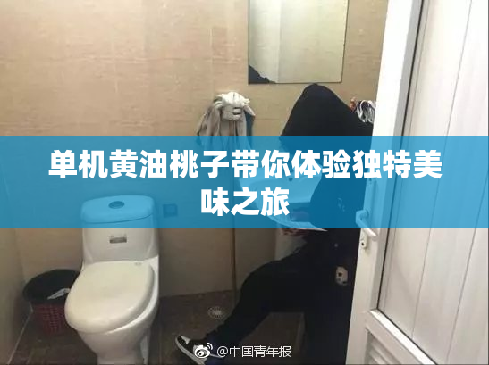 单机黄油桃子带你体验独特美味之旅
