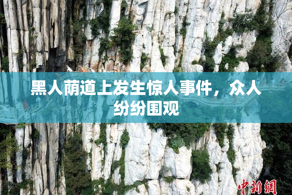 黑人荫道上发生惊人事件，众人纷纷围观