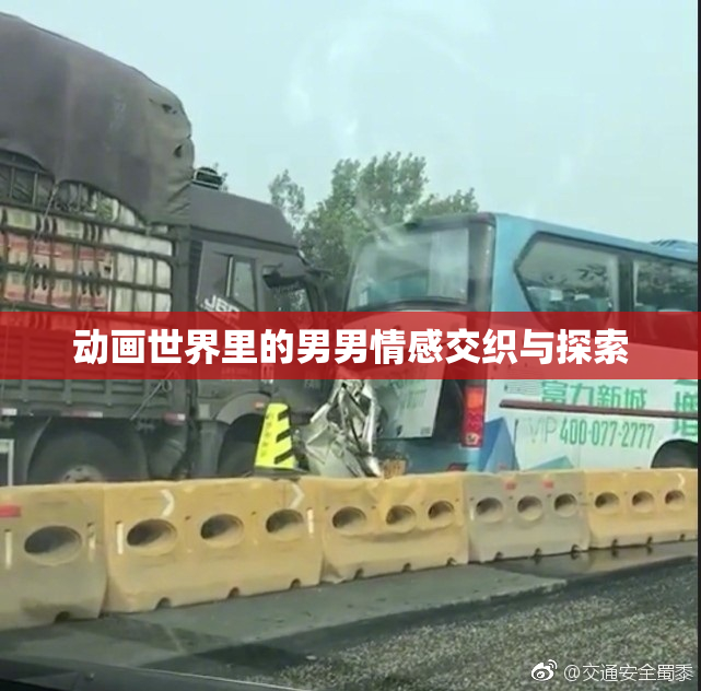动画世界里的男男情感交织与探索