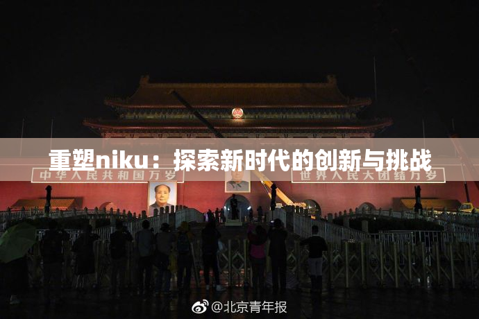 重塑niku：探索新时代的创新与挑战