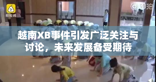 越南XB事件引发广泛关注与讨论，未来发展备受期待