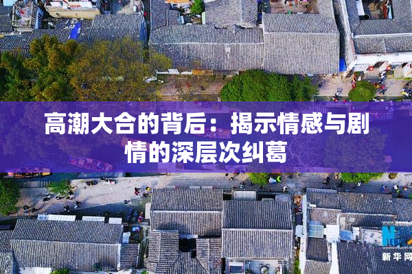 高潮大合的背后：揭示情感与剧情的深层次纠葛
