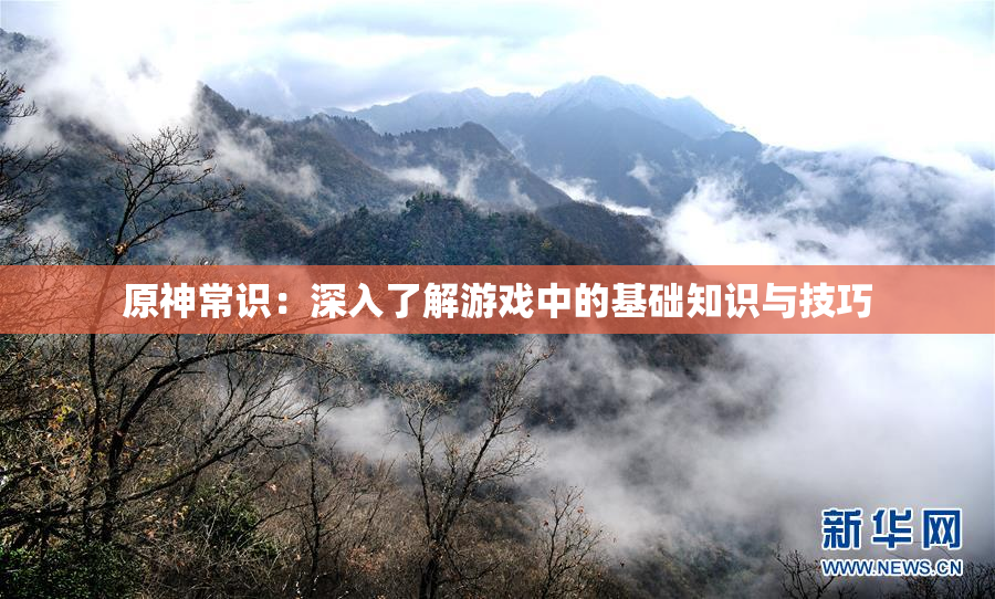 原神常识：深入了解游戏中的基础知识与技巧