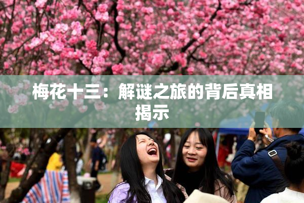 梅花十三：解谜之旅的背后真相揭示