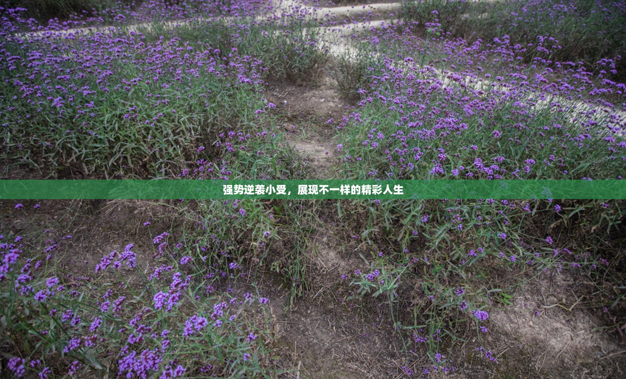 强势逆袭小受，展现不一样的精彩人生