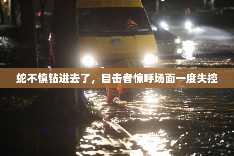 蛇不慎钻进去了，目击者惊呼场面一度失控
