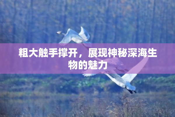粗大触手撑开，展现神秘深海生物的魅力