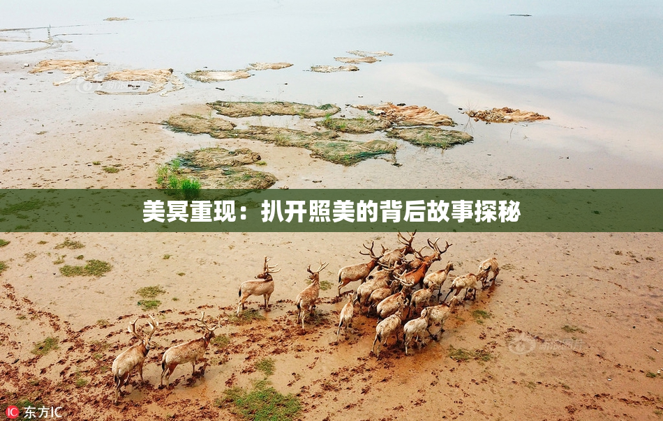 美冥重现：扒开照美的背后故事探秘