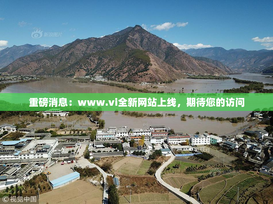 重磅消息：www.vi全新网站上线，期待您的访问