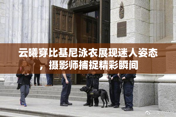 云曦穿比基尼泳衣展现迷人姿态，摄影师捕捉精彩瞬间