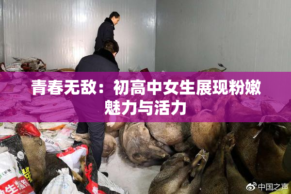 青春无敌：初高中女生展现粉嫩魅力与活力