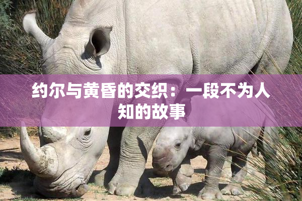 约尔与黄昏的交织：一段不为人知的故事