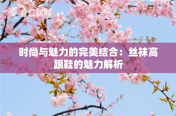 时尚与魅力的完美结合：丝袜高跟鞋的魅力解析