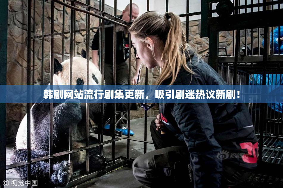 韩剧网站流行剧集更新，吸引剧迷热议新剧！
