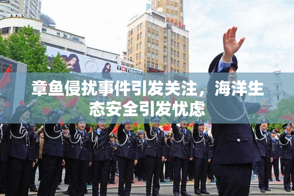 章鱼侵扰事件引发关注，海洋生态安全引发忧虑