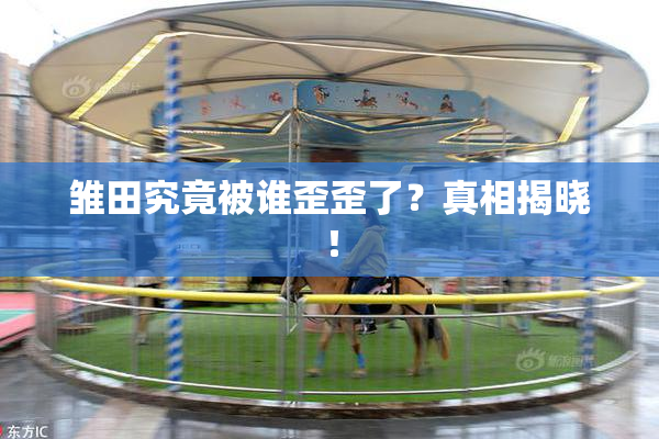 雏田究竟被谁歪歪了？真相揭晓！