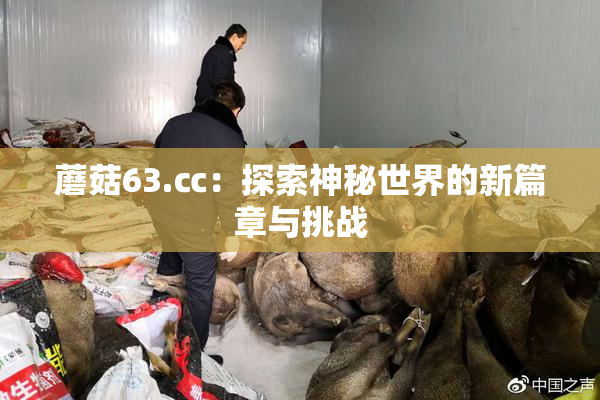 蘑菇63.㏄：探索神秘世界的新篇章与挑战