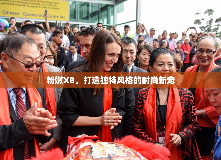 粉嫩XB，打造独特风格的时尚新宠