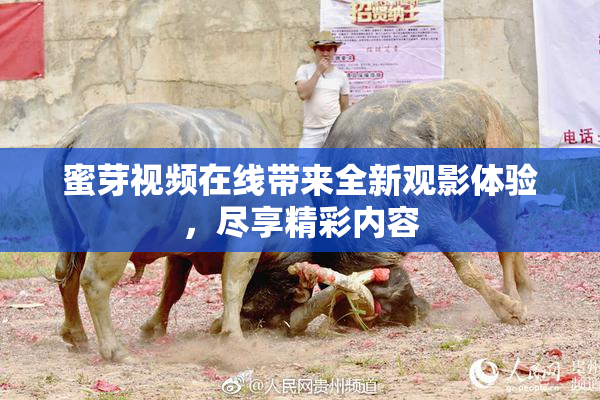 蜜芽视频在线带来全新观影体验，尽享精彩内容